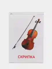 Вишнёвый развивающие карточки по методике Г. Домана в одном месте (мега)