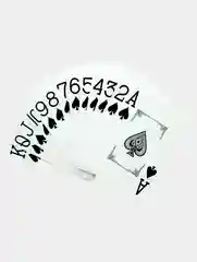 Пластиковые игральные карты Poker Club, 52 штуки