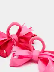 Фуксия набор больших бантов двухцветных, 2 штуки