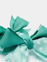 Мятный набор больших бантов двухцветных, 2 штуки