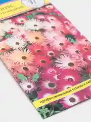 Семена цветов Доротеантус маргаритковый Смесь, О, 0,1 г