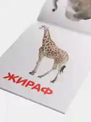 Карамельный развивающие карточки по методике Г. Домана в одном месте (мега)