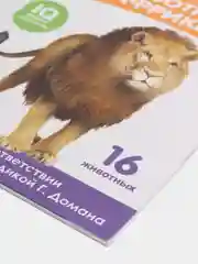 Карамельный развивающие карточки по методике Г. Домана в одном месте (мега)