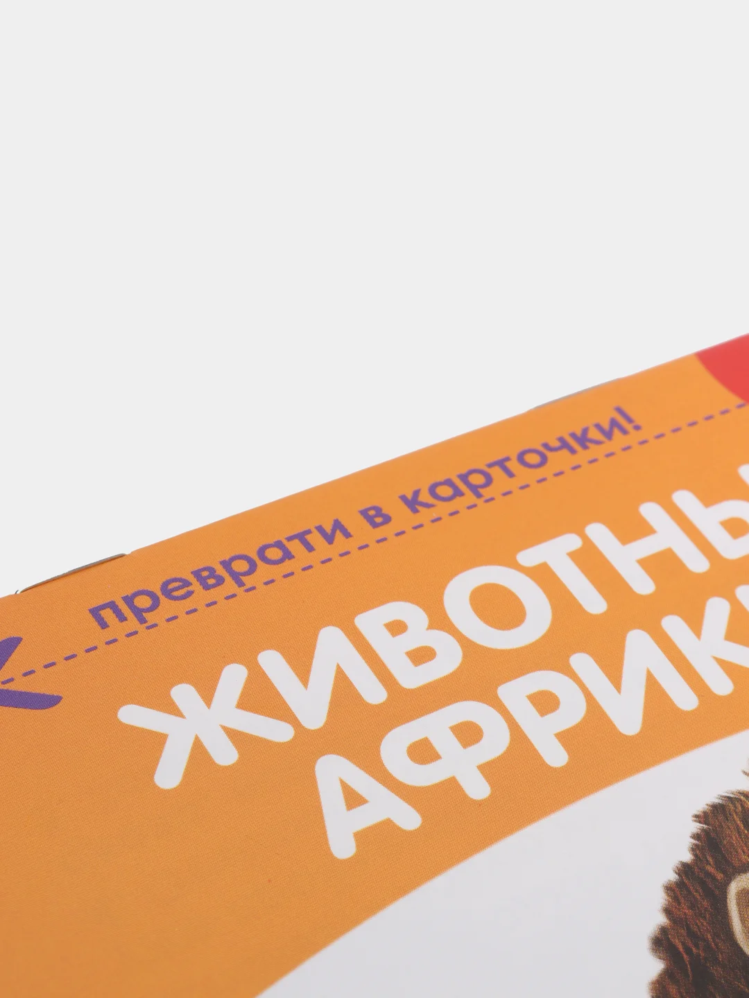 Карамельный развивающие карточки по методике Г. Домана в одном месте (мега)