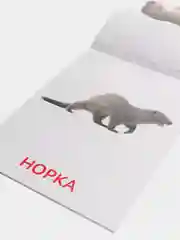 Золотой развивающие карточки по методике Г. Домана в одном месте (мега)
