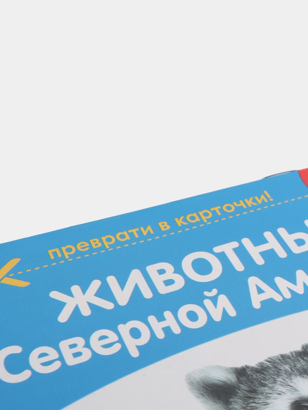 Золотой развивающие карточки по методике Г. Домана в одном месте (мега)