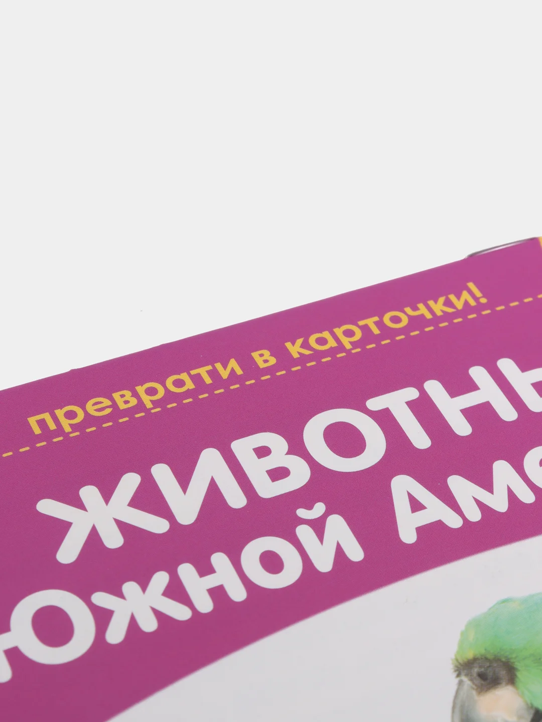 Бронзовый развивающие карточки по методике Г. Домана в одном месте (мега)