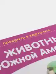 Бронзовый развивающие карточки по методике Г. Домана в одном месте (мега)