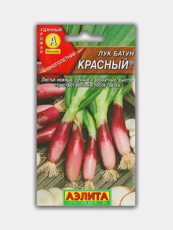 Лук батун Красный (семена)