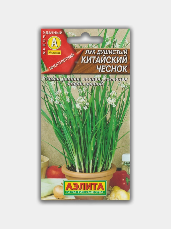 Лук душистый Китайский чеснок (семена)