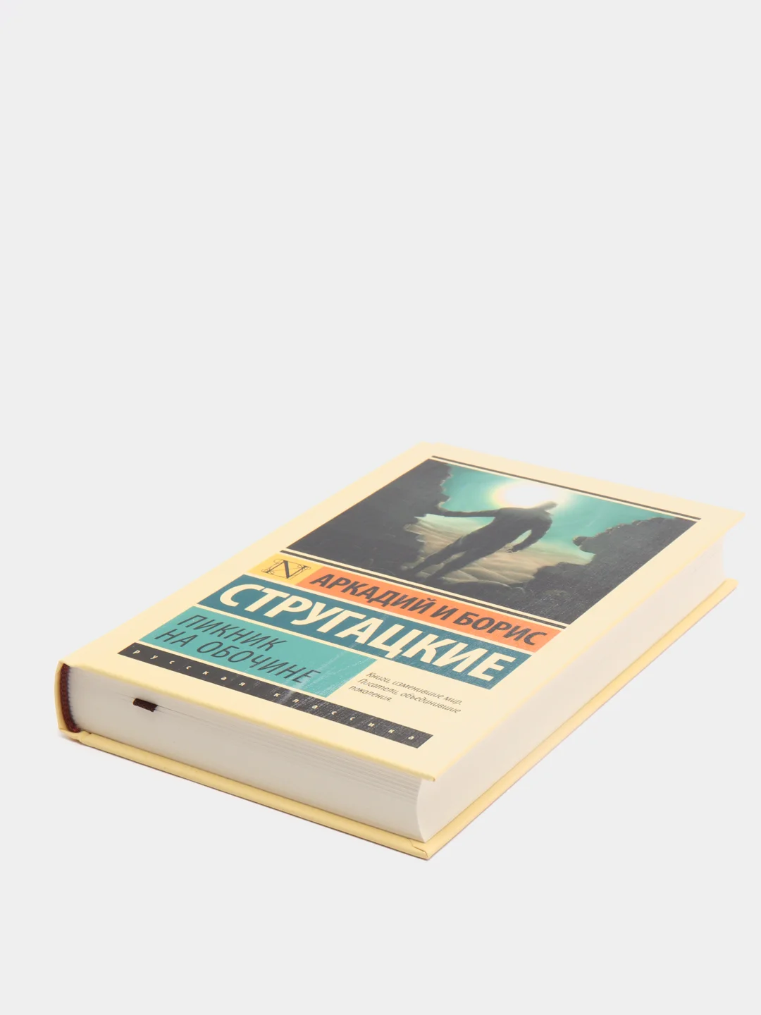 Пикник на обочине