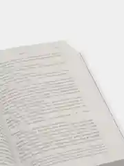 Неночь