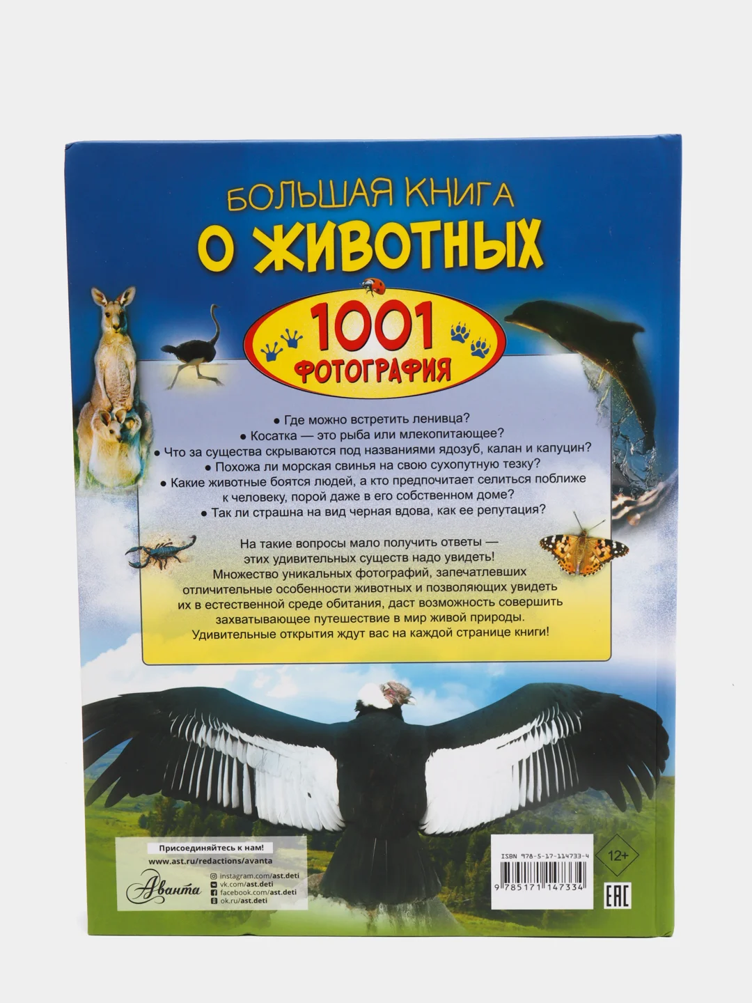 Большая книга о животных. 1001 фотография