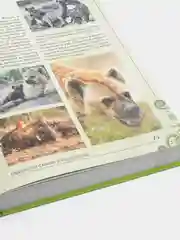 Большая книга о животных. 1001 фотография