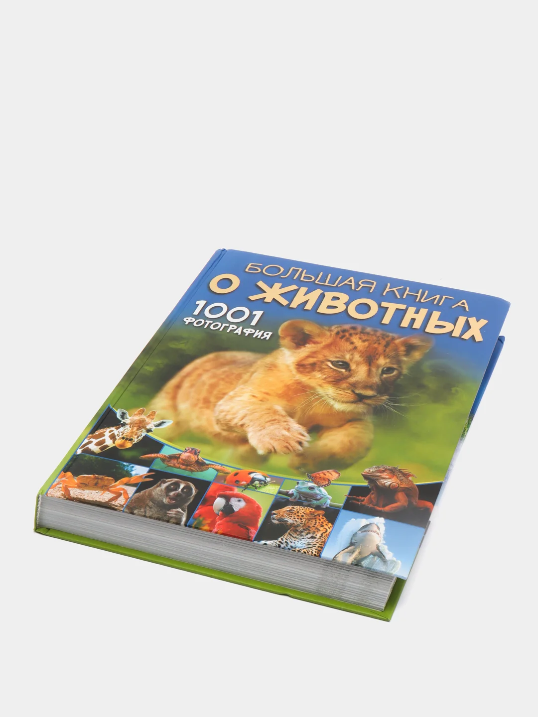 Большая книга о животных. 1001 фотография