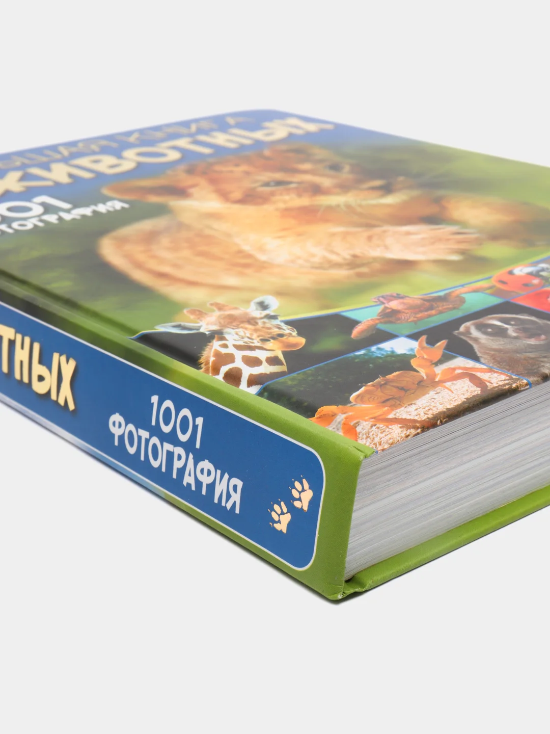 Большая книга о животных. 1001 фотография