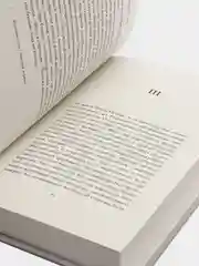 Камера обскура. В.Набоков