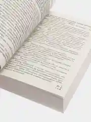 Цифровая крепость