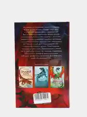 Драконья сага. Мрачная тайна