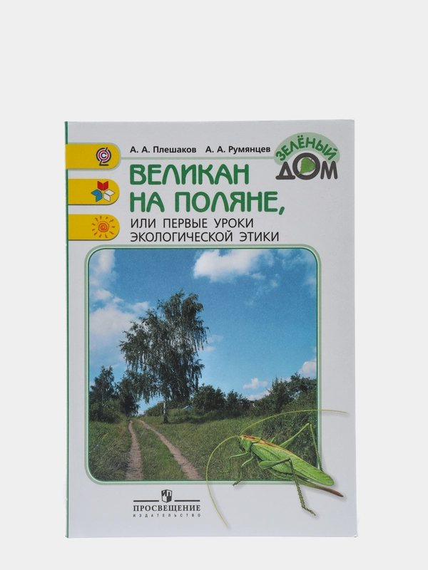 Великан на поляне, Плешаков А. А