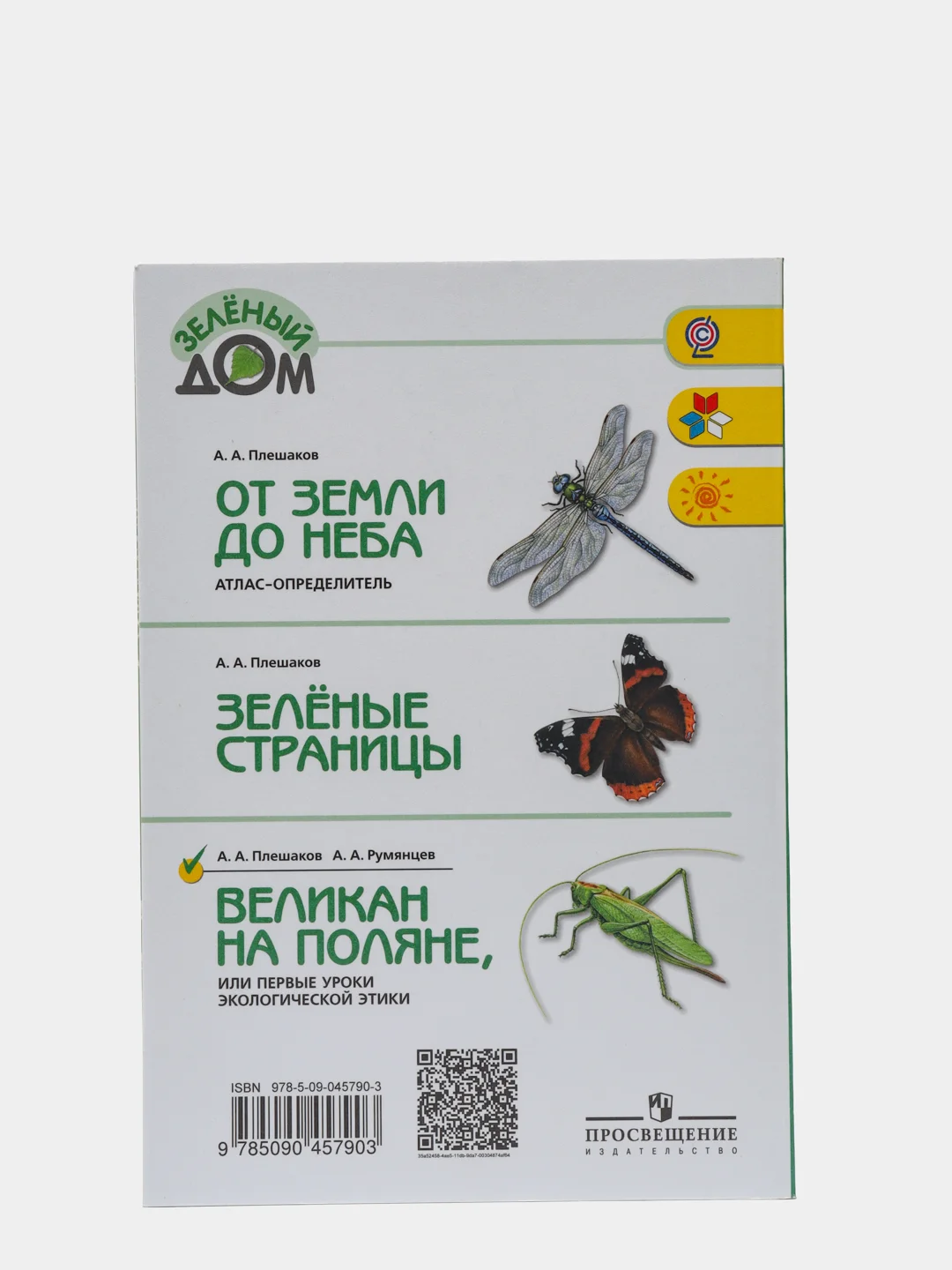 Великан на поляне, Плешаков А. А