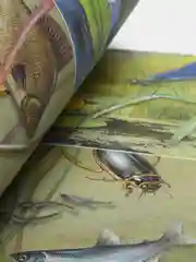 Великан на поляне, Плешаков А. А