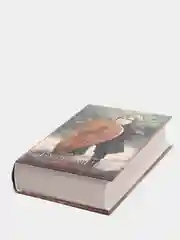 Буря мечей. Мартин Джордж Р.Р