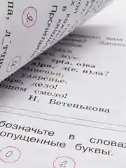 Русский язык рабочая тетрадь,2 класс, в 2ух частях, В. П. Канакина, школа России