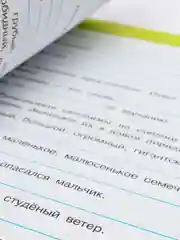 Русский язык рабочая тетрадь, 3 класс, в 2ух частях, Л. Ф. Климанова, Перспектива