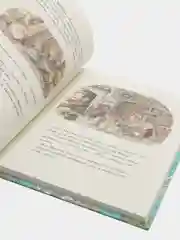 Приключения на Ежевичной поляне, Джилл Барклем