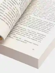 Одиннадцать минут, Коэльо Пауло