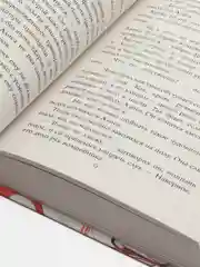 Алиса, Генри Кристина
