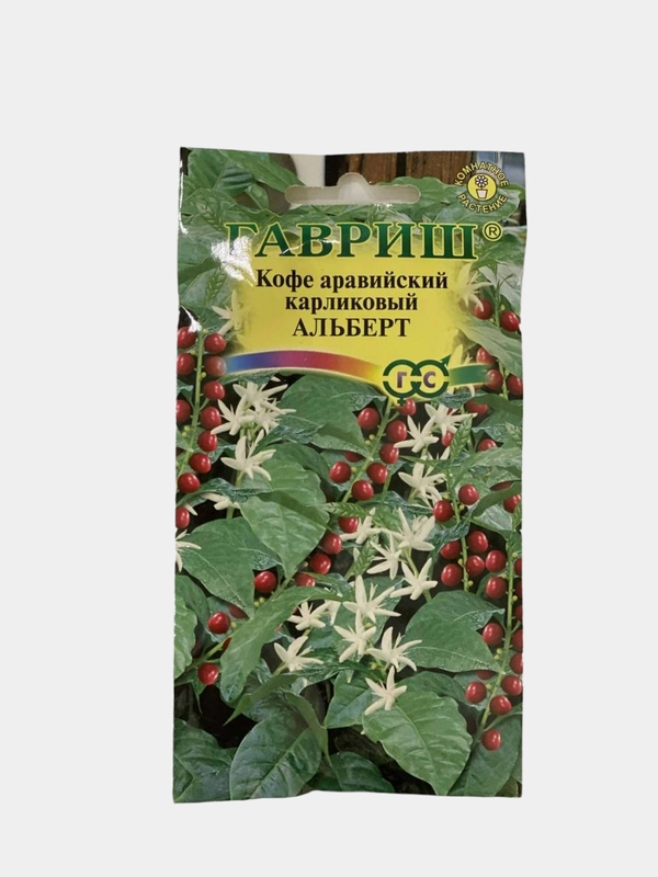 Семена "Кофе Альберт"