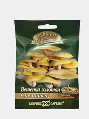 Вешенка золотая лимонная "семена"
