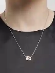 Цепочка на шею гороскоп "Знак зодиака"