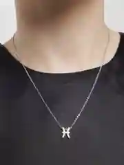 Цепочка на шею гороскоп "Знак зодиака"