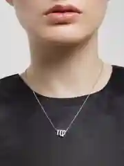 Цепочка на шею гороскоп "Знак зодиака"