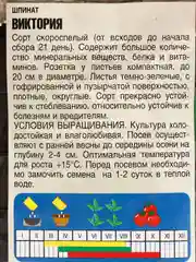 Семена Шпинат "Виктория", 3 г