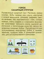 Золотой семена гороха, много сортов (мега)