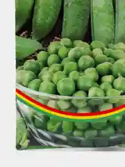 Золотой семена гороха, много сортов (мега)