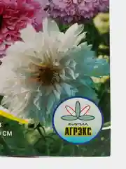 Семена цветов "Космея махровая", О, 0,3 г