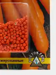 Семена Морковь "Медовая", простое драже, 300 штук