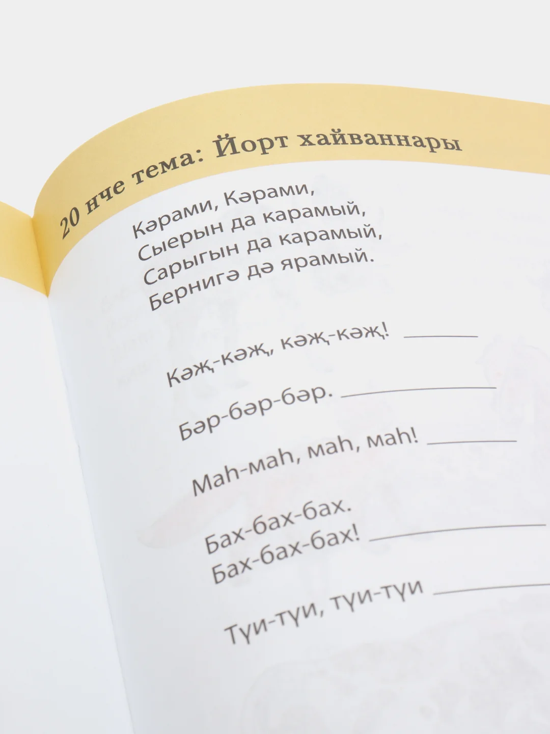 Шаян мажаралары Рабочая тетрадь