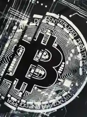 Мужская футболка с серым биткоином