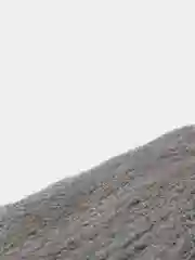 Вата стальная