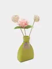 Салатовый ароматический диффузор в подарочной коробке