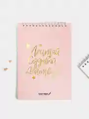 Скетчбук Мечтай.Создавай.Действуй А5, 40 листов 100 г/м2, два вида