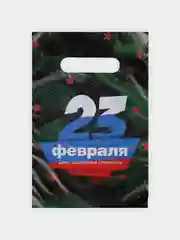 Зеленый пакет подарочный полиэтиленовый 5 шт/10 шт "23 февраля", 20*30