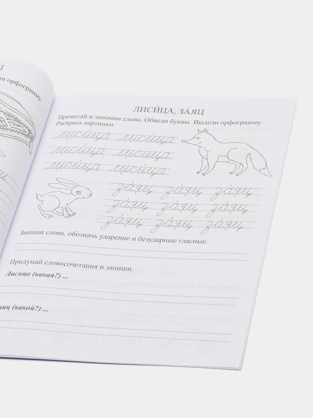 Орфографические прописи: 7-8 лет