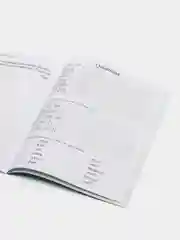 Прописи. Английский язык. 4 класс: письмо и чтение.